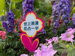 -南宁南湖公园