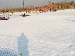 -绿野森林乐园冰雪季