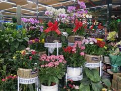 -超市发超市(学院路店)