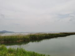 -苏州太湖湖滨国家湿地公园