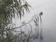 -美兰湖景区