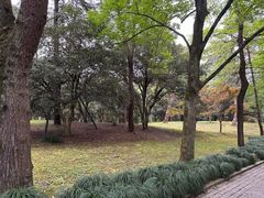 -杭州植物园