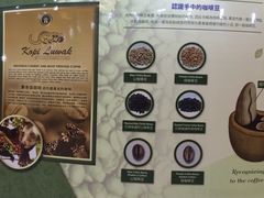 巴厘岛黄金金兔咖啡工厂-巴厘岛黄金金兔咖啡工厂