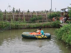 -樂桃源奉贤黄桃种植采摘基地