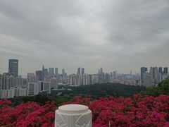 -荔枝公园-小平画像广场