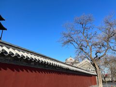 -天泽祥·鼓楼馒头(鼓楼店)