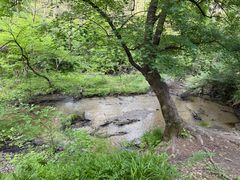 -大青沟风景区