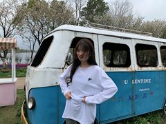 -杭州湾海上花田景区