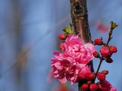 -北京西山国家森林公园