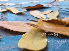 -古塔公园