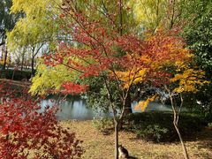 -石湖景区