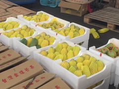 -上海龙吴水胜海发市场