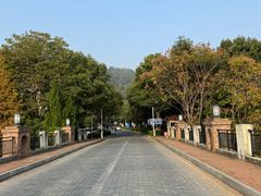 -宜春明月山维景国际温泉度假酒店