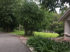 -晓港公园