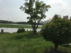 景点-南翔镇银翔湖公园