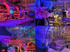 -Darling Queen·Mini·Live·House