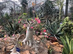 -国家植物园南园