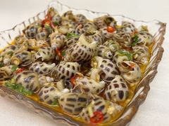 捞汁花螺-白仁仔· 活烤海鲜 宵夜(豫园店)