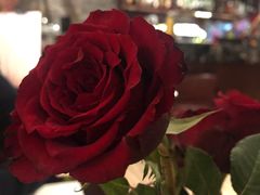 -IL Forno 意坊·意大利餐厅(温州万象城店)