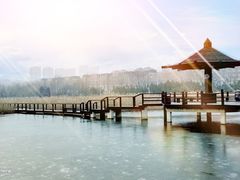 -前关湿地公园