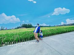 -中国天府农业博览园