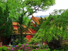 -南岳衡山风景名胜区-南岳大庙