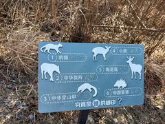 -浙西天池景区
