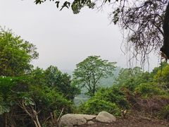 -火炉山森林公园