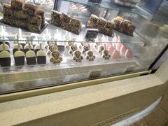 -野人先生现做冰淇淋(西安赛格店)