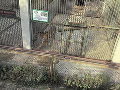 -合肥野生动物园
