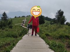 -驼梁风景区