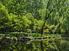 -上海共青森林公园