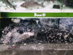 -迪卡侬(瓯海店)