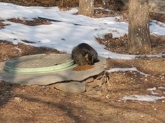 -北京西山国家森林公园