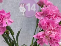 -来之顺海鲜菜馆·青岛菜(栈桥店)