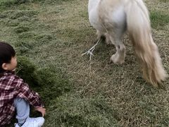 -汉长安城未央宫国家考古遗址公园