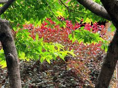 -李叔同故居纪念馆