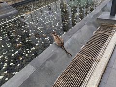 -复旦大学附属华山医院(总院)