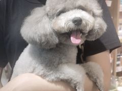 -FAELING PETS美天灵宠物(富力广场店)