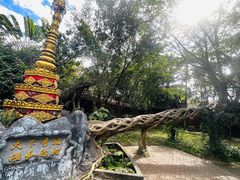 -瑞丽独树成林风景区