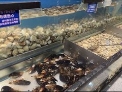 -遇上西雅图多融合海鲜自助餐厅(中房金谊广场店)