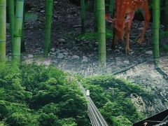 -鹿院坪生态旅游景区