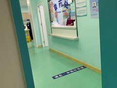 -北京观赏动物医院·24小时大型综合·猫专科·异宠专科