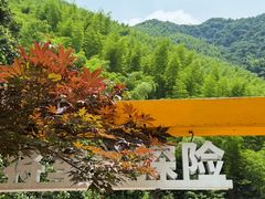 -将军关探险漂流