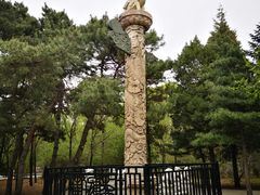 -北陵公园