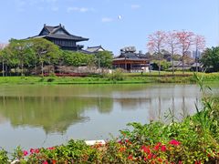 -海珠湖公园
