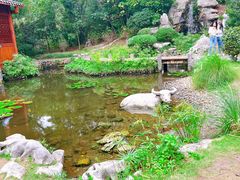 -深圳国际园林花卉博览园