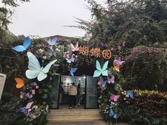 -野象谷景区