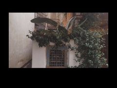 -悦哉·派对·草坪婚礼·围炉煮茶(三圣乡店)