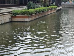 -荔湾湖公园